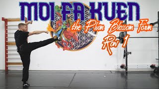 Moi Fa Kuen Row 1, Eagle Claw Kung Fu Plum Blossom Form