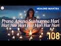 Harmonize Your Energies: Prana Apana Sushumna Hari Mantra | Omniscient Wisdom 🌟🕉️