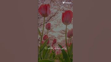 سورة العنكبوت الآية 56 و 57 💗💞