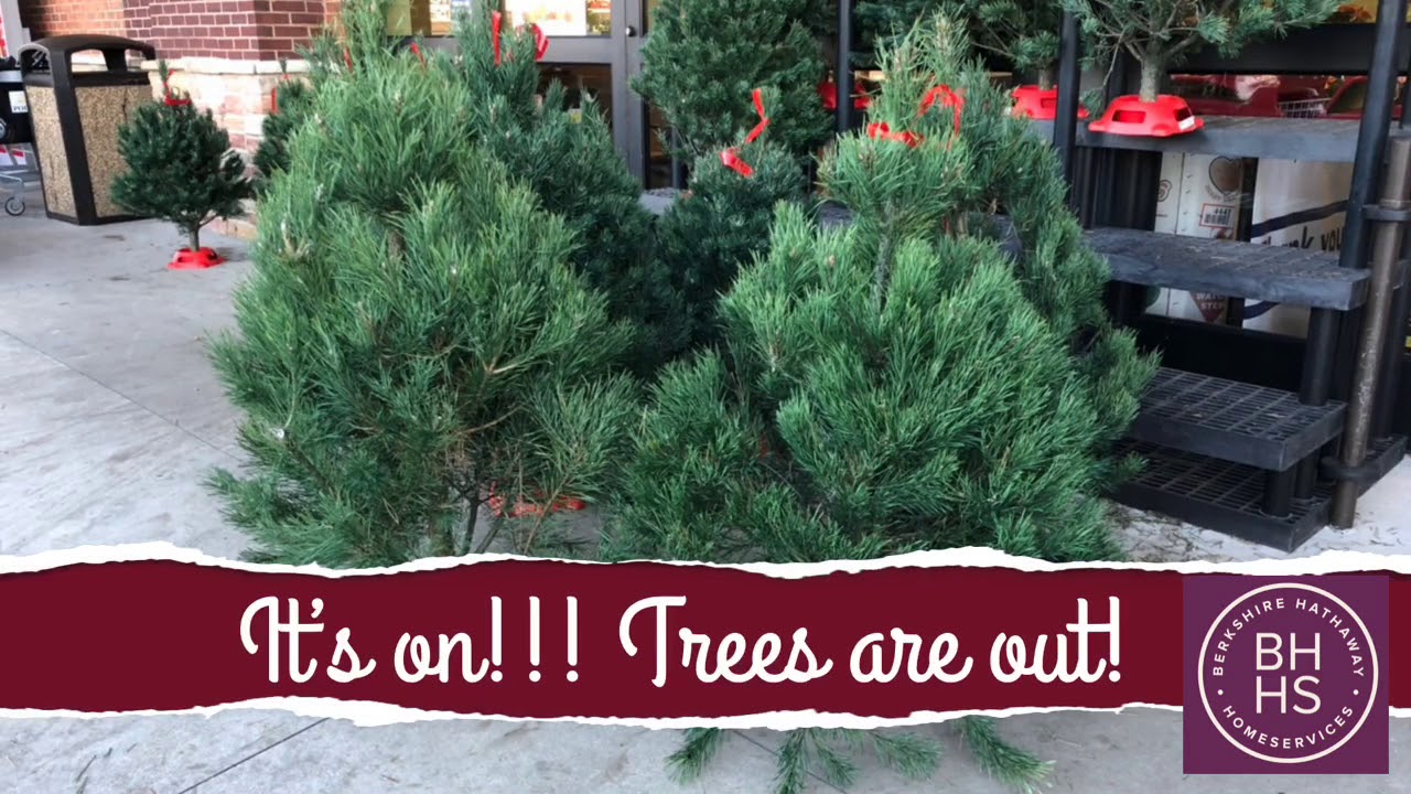 It’s beginning to look a lot like Christmas in Auburn, AL