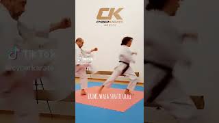 IRIMI WAZA SHUTO UCHI - KARATE SHOTOKAN #shorts IRIMI WAZA SHUTO UCHI - KARATE SHOTOKAN #shorts