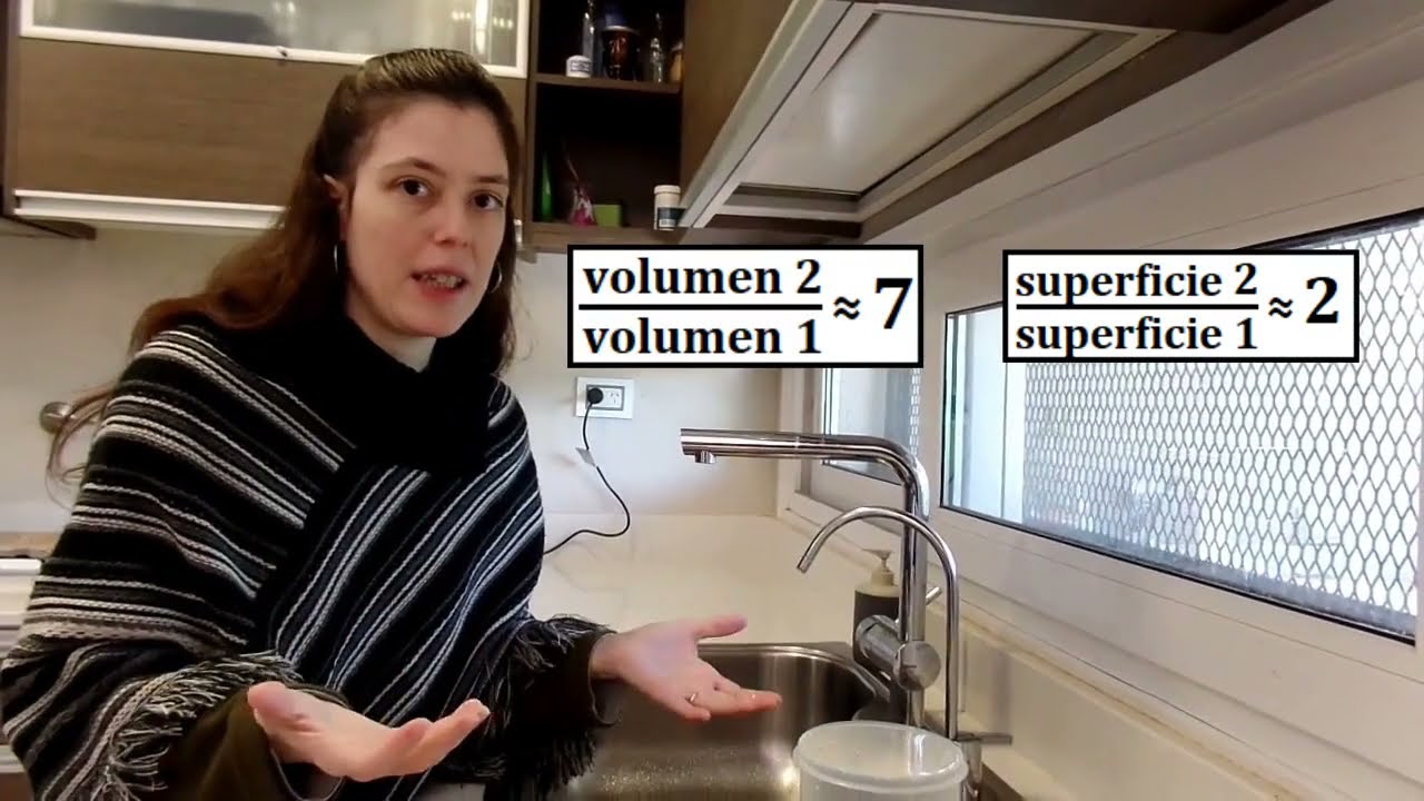 Relaciones superficie/volumen