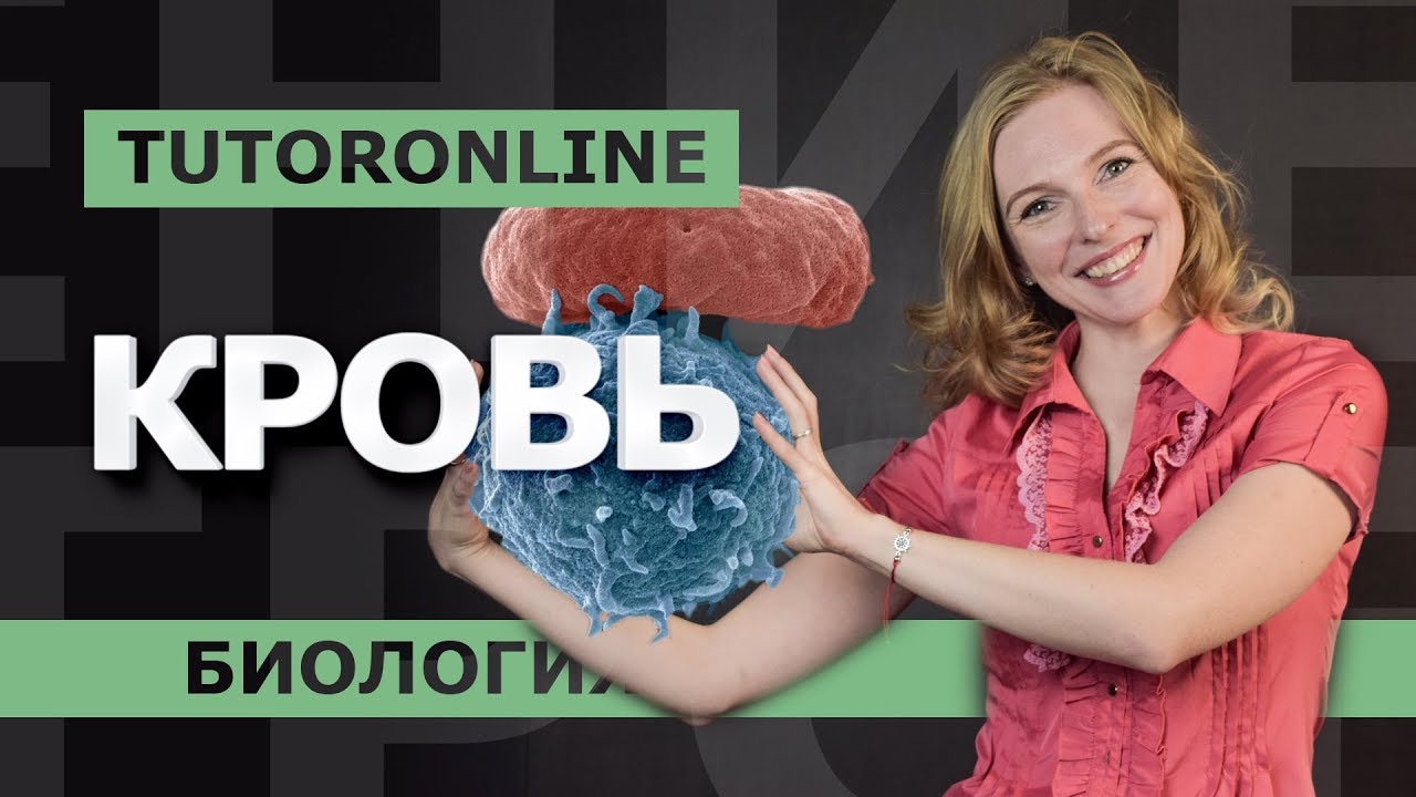 КРОВЬ. ЕГЭ по биологии | TutorOnline | Биология
