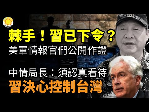 ⚔️棘手！习已对共军下令？多名美军事和情报官公开作证；中情局长：习近平决心控制台湾 须认真看待其野心；小弟造反！今起禁用TikTok；阿根廷米莱政府正式提交加入北约申请【阿波罗网CZ】