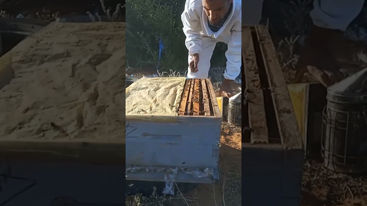 الطريقة الثانية لتربية الملكات