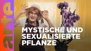 So ein (Orchi)delirium!