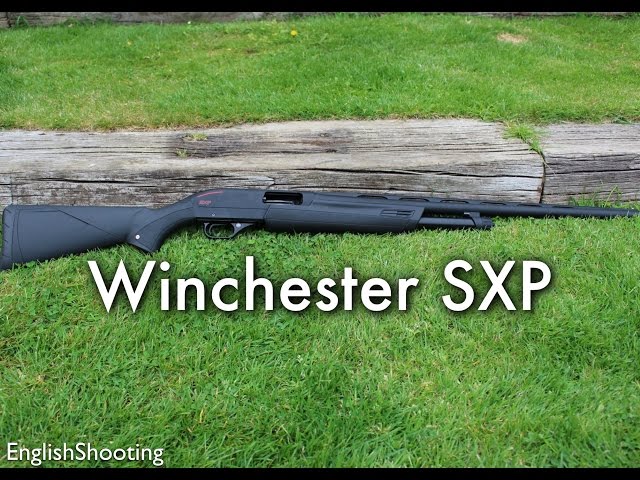 Fusil à Pompe WINCHESTER Sxp Field Inv+ Calibre 12 71cm