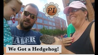 We got a Hedgehog!