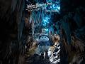 Waitomo Glowworm Caves|New zealand(ワイトモ・グロウワーム洞窟|ニュージーランド)