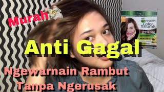 GARNIER NUTRISSE ULTRA BLONDE ON MY ASIAN DARK HAIR PART 2 ,DOES IT REALLY WORK? |CAT RAMBUT GARNIER