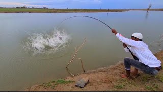 Fish Hunting| Big Rohu Fish Catching In Krishna River Fishing| Traditional Fishing