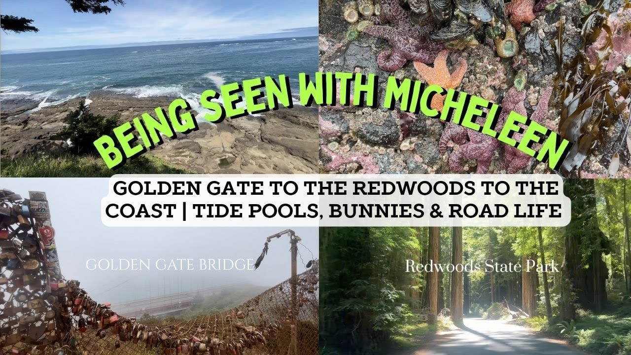 Golden Gate to the Redwoods to the Coast | Tide Pools, Bunnies & Road Life Vlog #15
