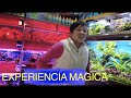 MERCADO DE PECES CHINO A PUNTO DE DESAPARECER?||||||😍🐟🐠🐡