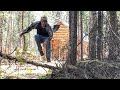 Remote Off Grid Cabin: Checking In. Smashing Bee Hive.