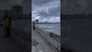 حالات واتس 💔 عادي اما تمشي 💔🥀 احمد سعد