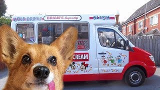 Dogs Happy to See Ice Cream Truck Compilation