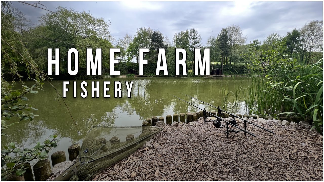 Home Farm Fisheries My First Ever Cat! 🤢 On The Bank! Ep.10 YouTube