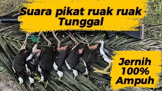 2 jam full..!! Suara pikat ruak ruak tunggal free download terbukti ampuh..!!! Terbaru 2026