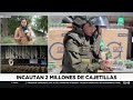Incautación histórica de más de 2 millones de cajetillas de cigarrillos de contrabando en el norte