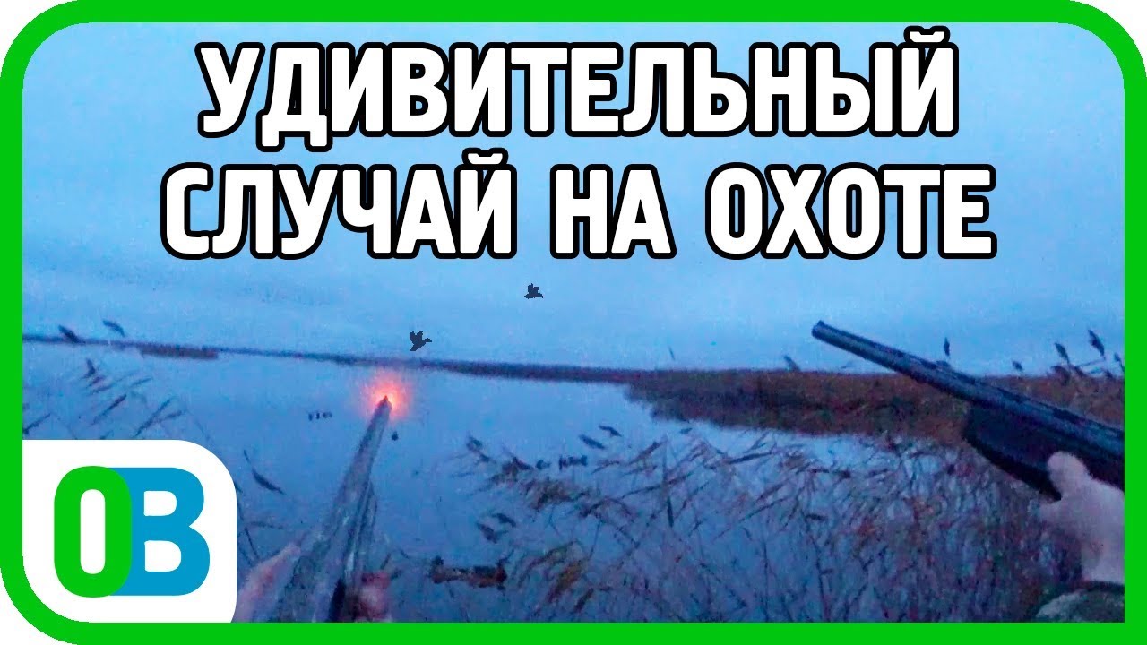 ОХОТИЛИСЬ НА УТКУ, НО ПРИПЛЫЛ ПРИЯТНЫЙ БОНУС... Охота на утку 2019 на вечёрке. Ладожское озеро