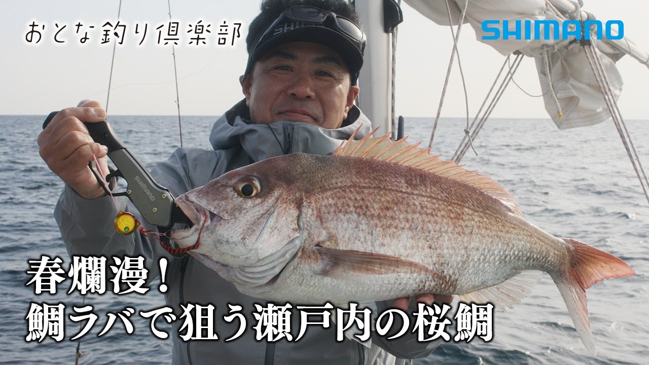 【おとな釣り倶楽部】鯛ラバシーズン到来！春の瀬戸内、美しき桜鯛と出会う