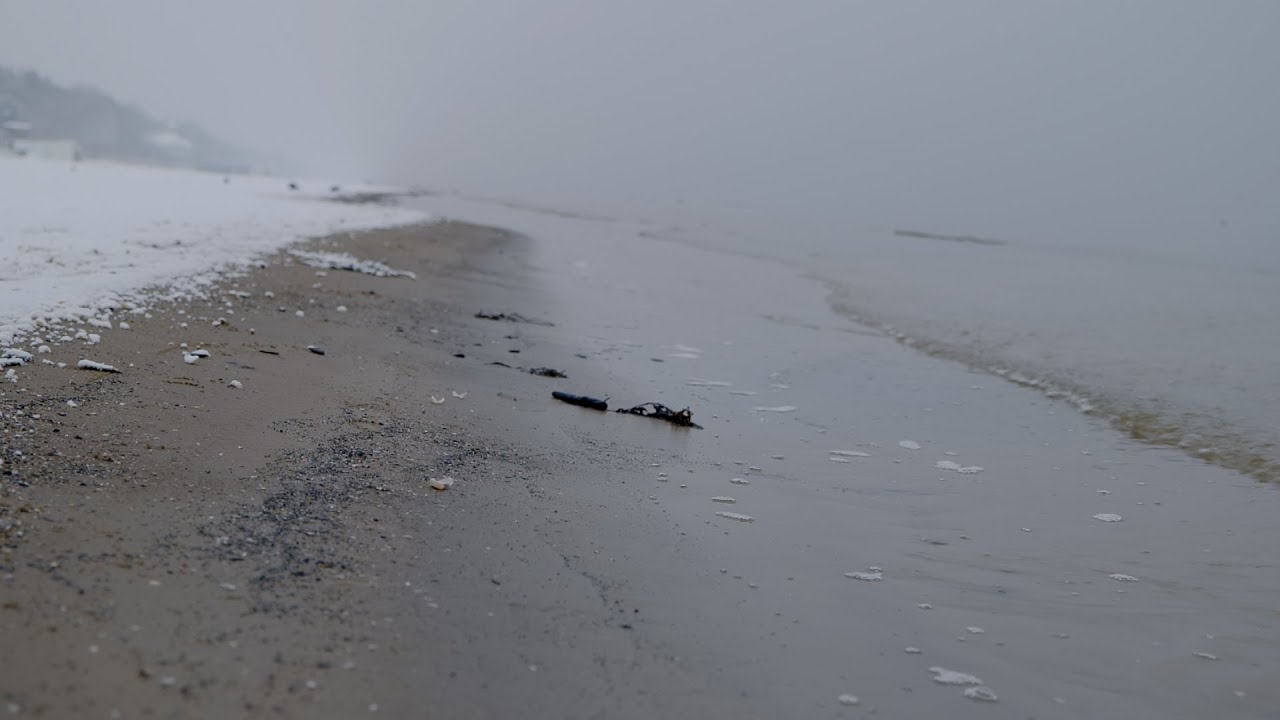 Vai pieaudzis cilvēks publiskajā pludmalē drīkst atpūsties kails? - YouTube