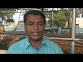 Cow farming- one month cow calf care by Ravi Nawale 9960555011