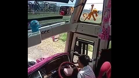 lagi viral banget|| bus TUNGGAL JAYA BLACK PINK OLENG