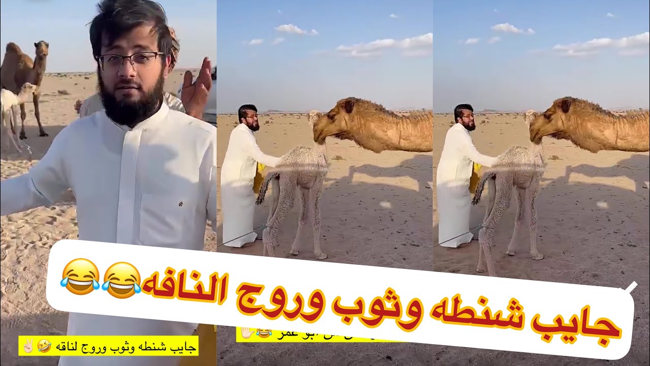 ناقه باخطيب جبت نونو جاب لها كيكه وحليب😂😂😂#سنابات #غازي_الذيابي