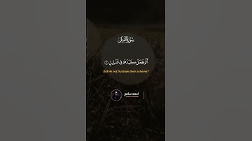 سورة الفيل 😊