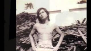 solo karier Yon Koeswoyo 80an dalam album Lantaran 