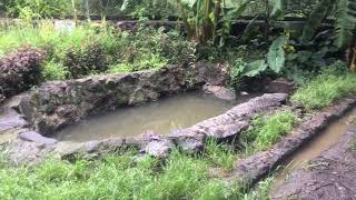 EL OJO DE AGUA. LA LADERA MICHOACAN MX