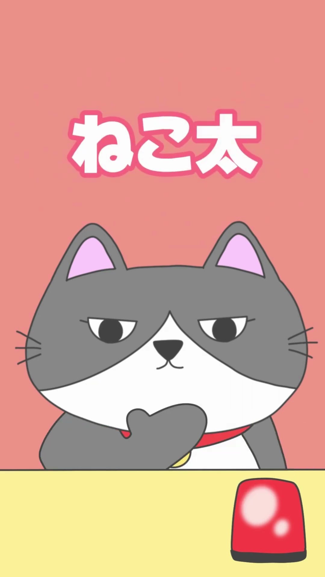 🐾自己紹介クイズ ～ねこ太編～🐾みんなは正解できるかにゃ？？ #猫