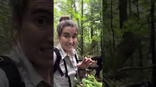 Day 141 of Hiking the Appalachian Trail