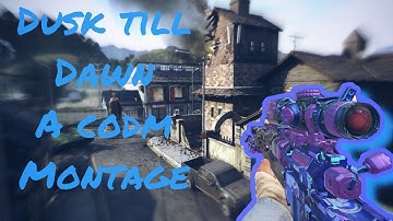 Dusk till Dawn - Zayn x sia | a codm montage