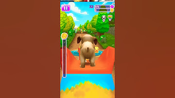 dogs running gameplay walkthrough iOS Android gameplay all