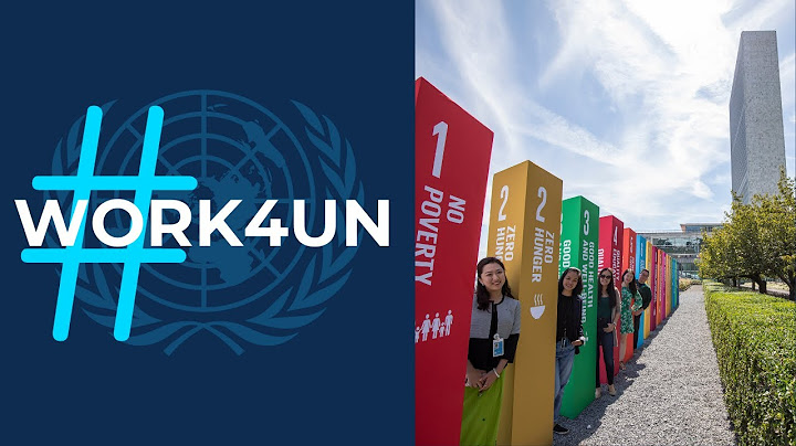 #Work4UN: 青年专业人员方案 - 天天要闻