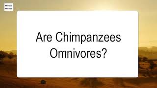 Are Chimpanzees Omnivores