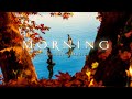 Classical Music for Relaxation - Beautiful Morning Music - Positive Healing Thoughts And Energy