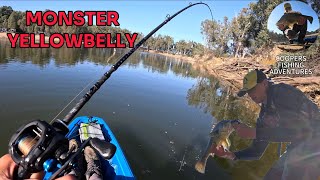 KAYAKING THE MURRAY RIVER FOR MONSTER YELLOWBELLY! | Yellowbelly/Golden Perch Lure Fishing