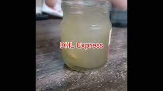 Kinohimitsu Bird's Nest