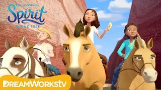 Mustang Mail Pt. 1 | SPIRIT RIDING FREE