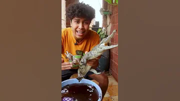 دي مش سلحفة دا تمساح Shorts 