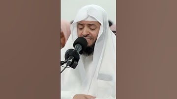 الشيخ #وديع_اليمني جديد التلاوات المرئيه رمضان 🌙 1444ه‍