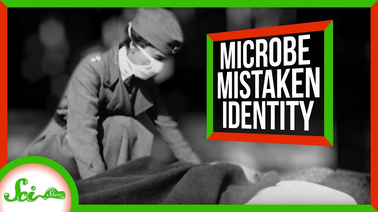 How Studying Bacteria Almost Kept Us From Discovering the Flu