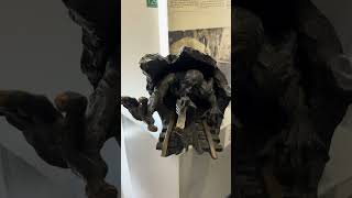 Glimpses From My Visit At The Mauershop The Mauermuseum, Berlin 2024.