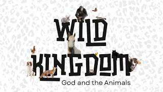 May 31, 2026 - “God’s Delight and Care for Animals” (Traditional Worship)