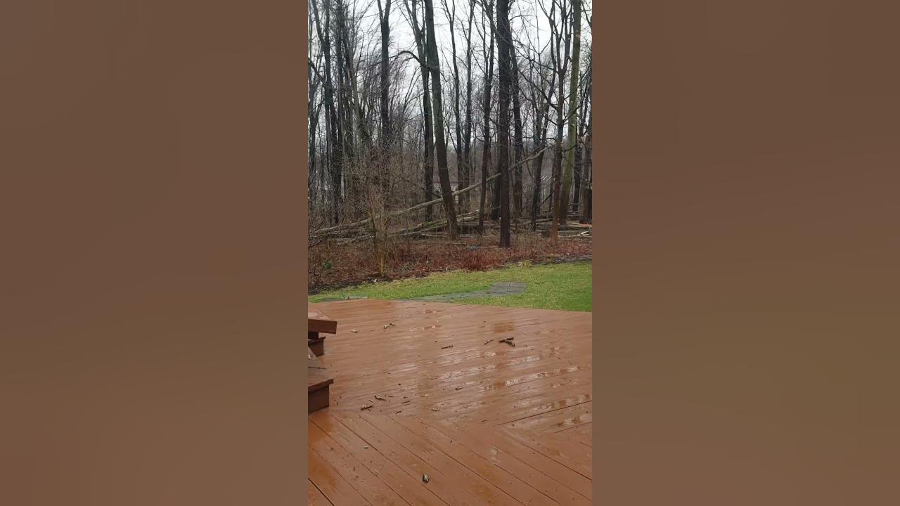 My windy backyardNy USA YouTube