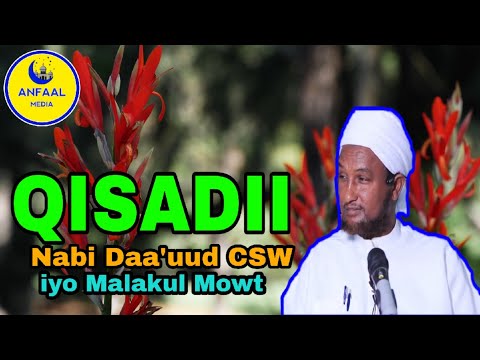 Qisadii Dhexmartay Nabi Daa Uud CSW Iyo Malakul Mowt Sh Xuseen Cali Jabuuti