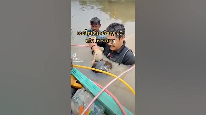 ดำน้ำหาสมบัติโบราณ เจอไหสี่หู
